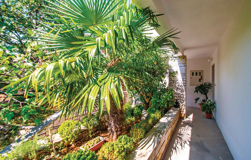 Lejlighed - Rabac , Kroatien - CIK062 9