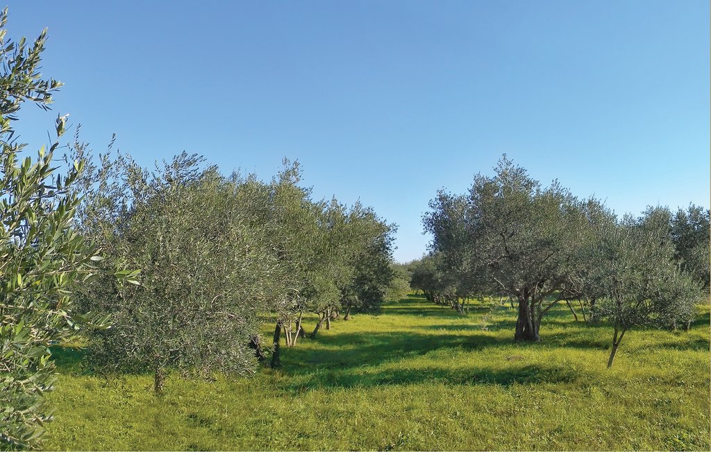 Ferienhaus - Labin-Drenje , Kroatien - CIK732 15