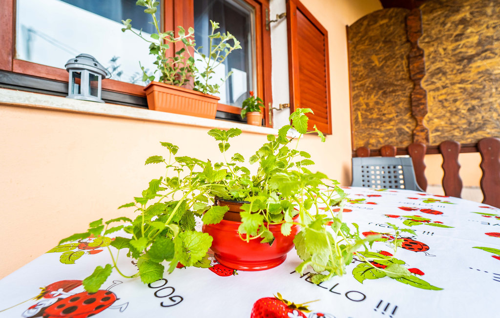 Ferienwohnung - Krnica , Kroatien - CIK135 12