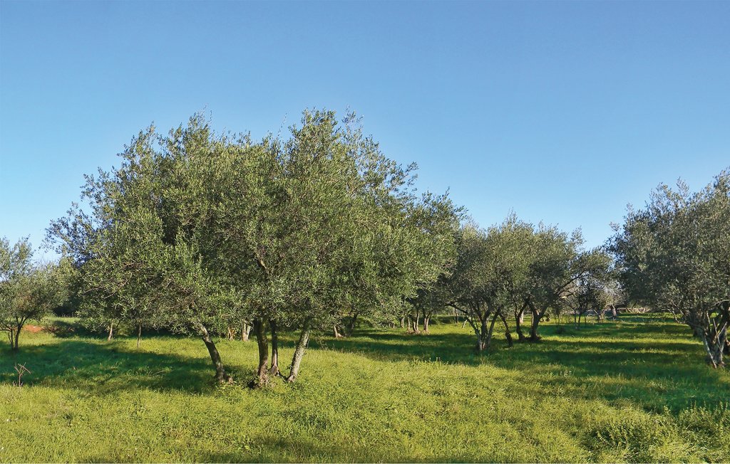 Ferienhaus - Labin-Drenje , Kroatien - CIK732 16