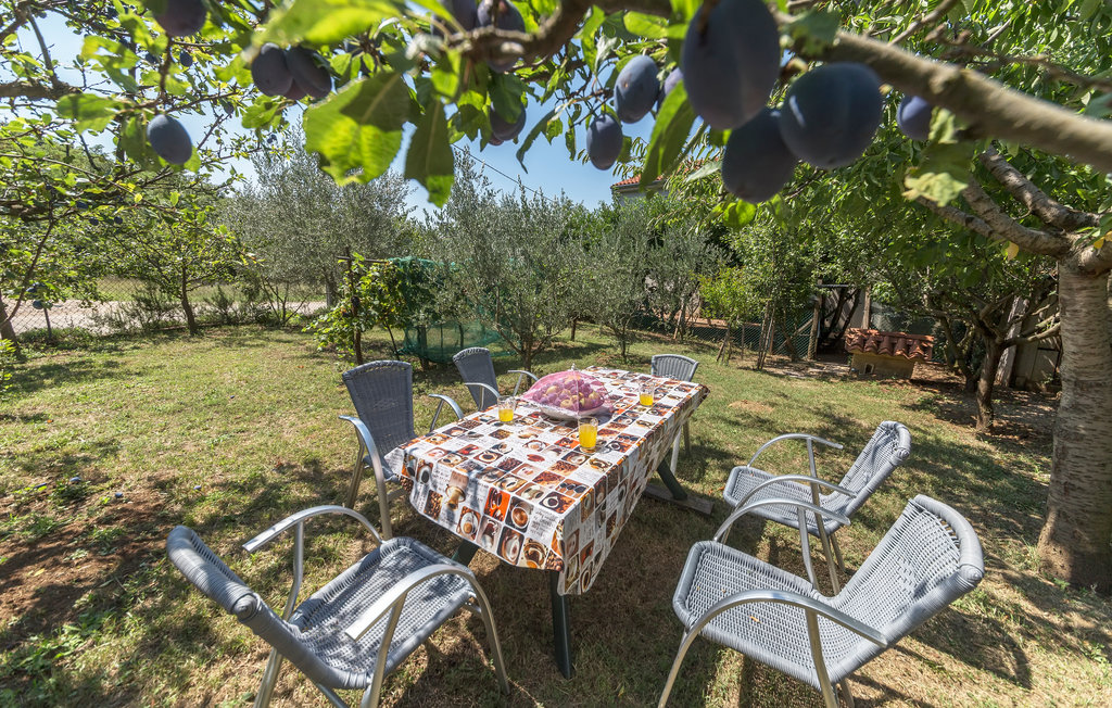 Semesterhus - Labin-Paradiz , Kroatien - CIK868 15