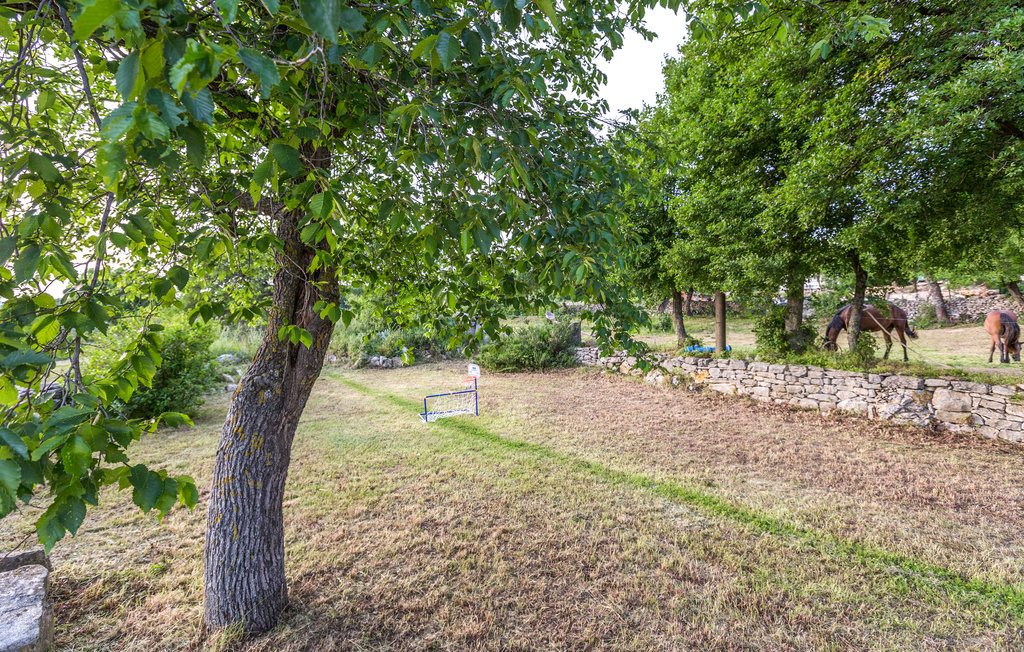 Feriehuse - Labin-Gora Glusic , Kroatien - CIK197 18