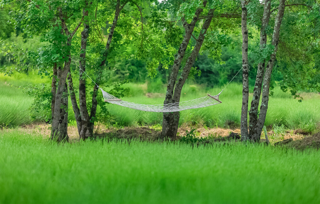 Feriehus - Labin-Cepic Zatka , Kroatia - CIK033 24