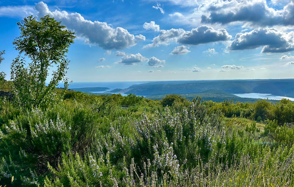 Semesterhus - Labin-Gora Glusic , Kroatien - CIK197 24