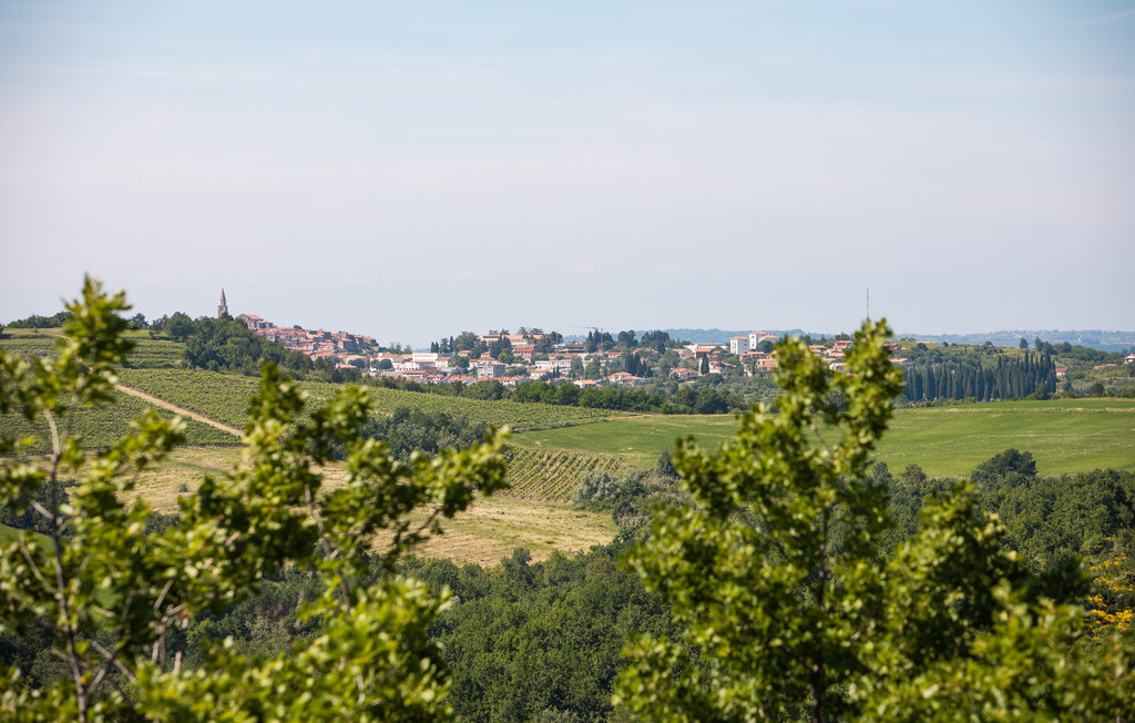 Feriehuse - Buje-Baredine , Kroatien - CIL500 21