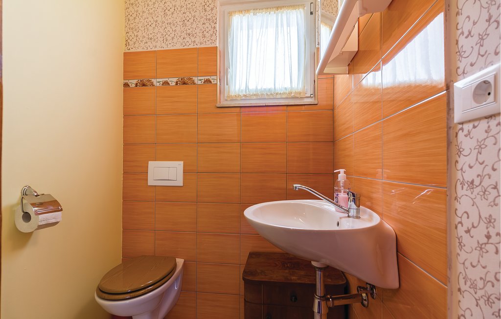 Ferienhaus - Svetvincenat-Rezanci , Kroatien - CIL938 60