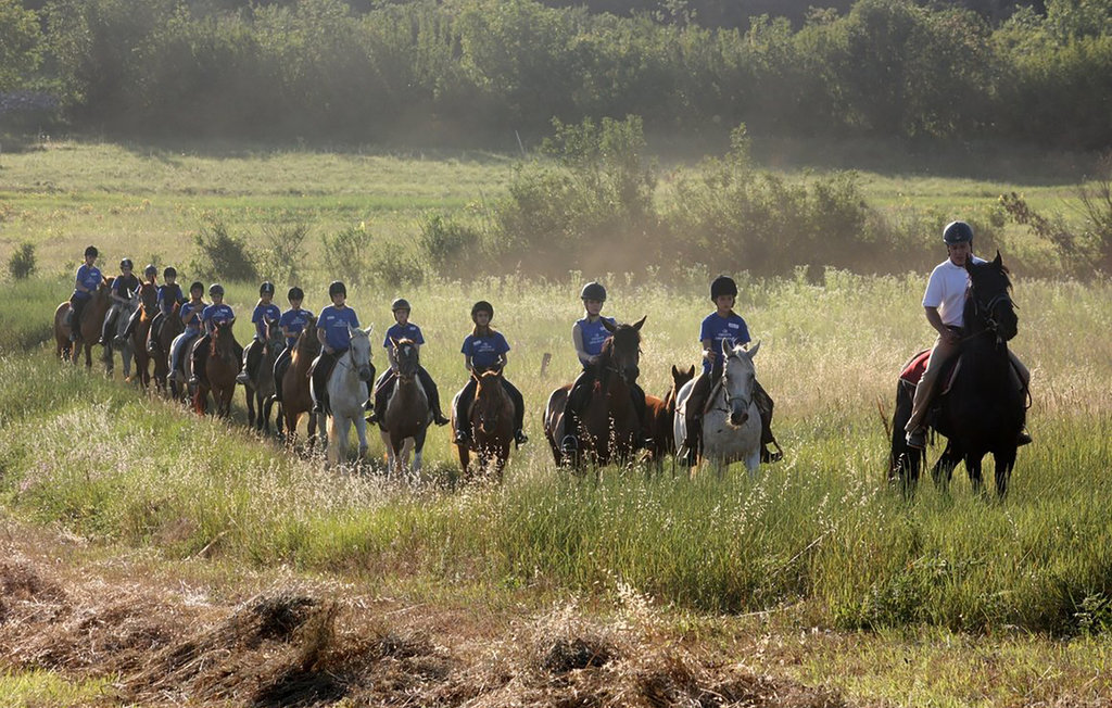 Ferieleilighet - Barban-Rebici , Kroatia - CIL168 22