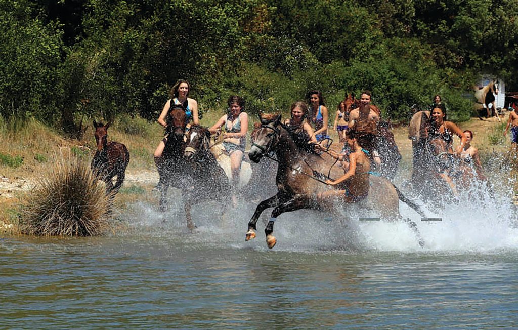 Ferienhaus - Barban-Manjadvorci , Kroatien - CIC065 36