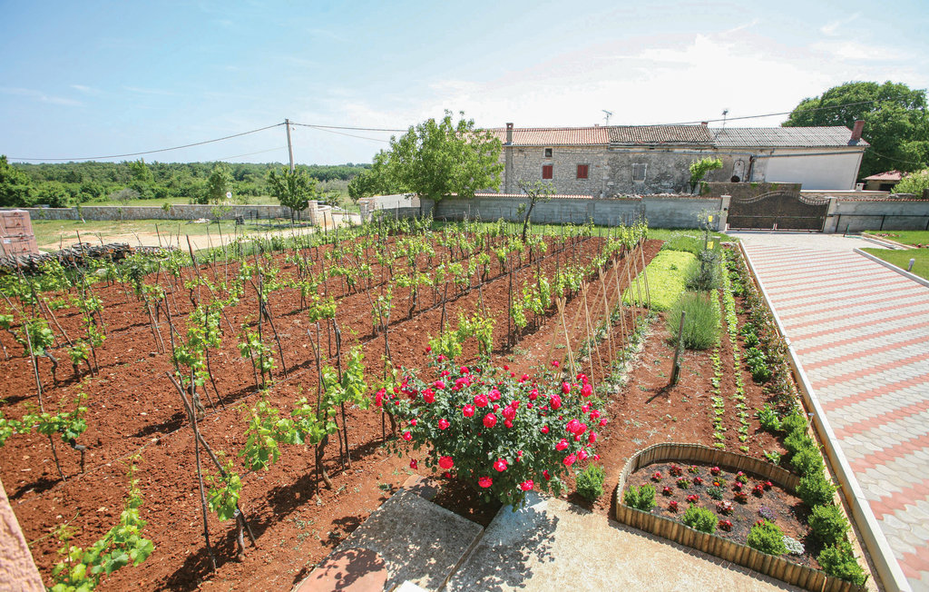 Ferienhaus - Svetvincenat-Cukrici , Kroatien - CIL544 15