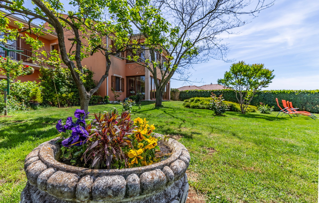 Ferieleilighet - Vodnjan-Gajana , Kroatia - CIL434 8