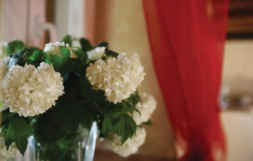 Ferienhaus - Barban-Juricev Kal , Kroatien - CIL829 50