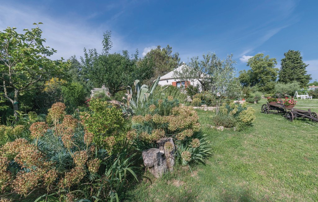 Feriehuse - Barban-Manjadvorci , Kroatien - CIL244 13