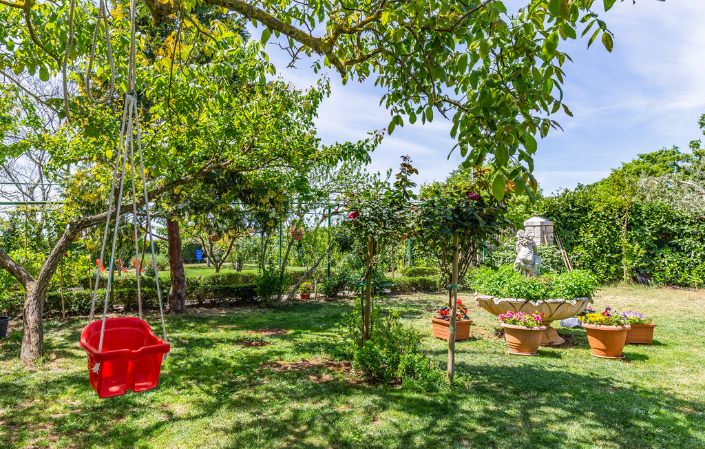 Apartment - Vodnjan-Gajana , Croatia - CIL435 7