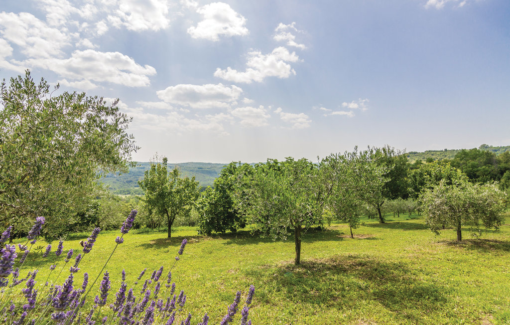Feriehuse - Motovun-Meloni , Kroatien - CIL681 14