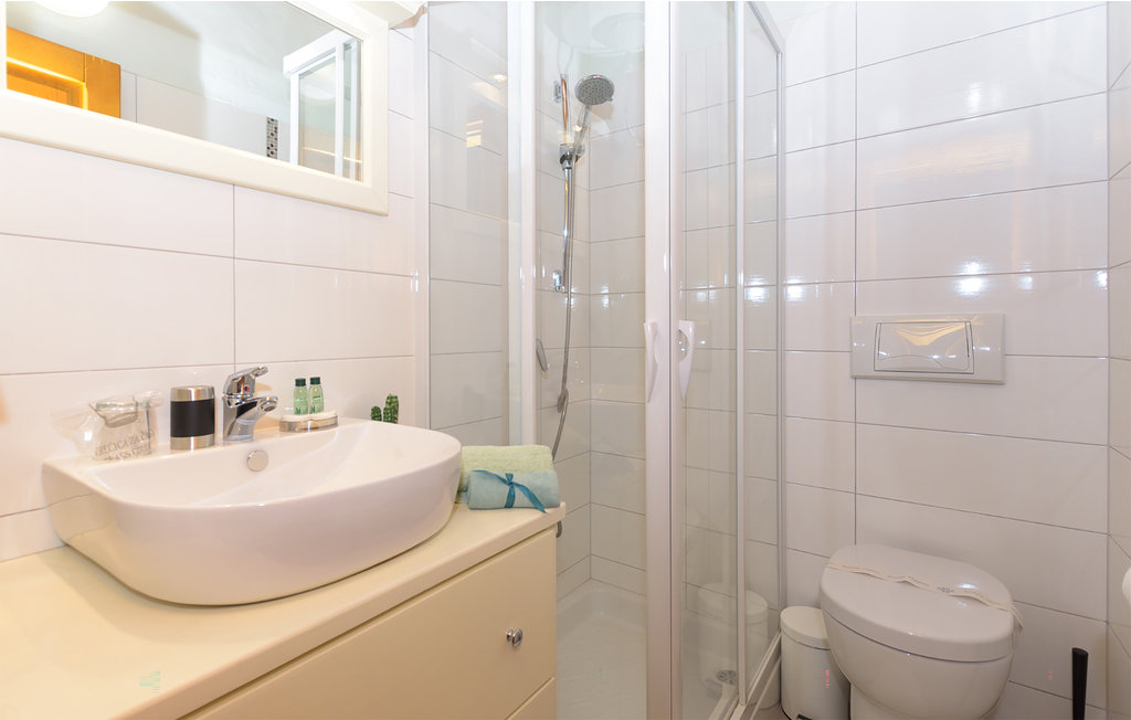 Ferienhaus - Svetvincenat-Bokordici , Kroatien - CIL100 48