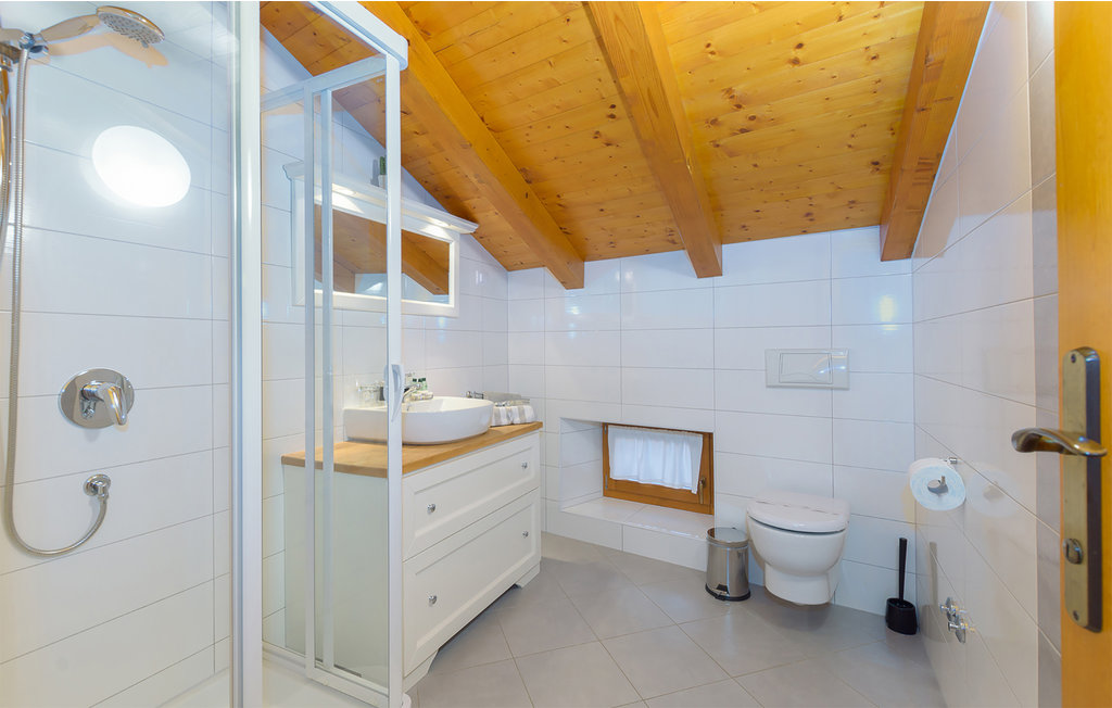 Ferienhaus - Svetvincenat-Bokordici , Kroatien - CIL100 47