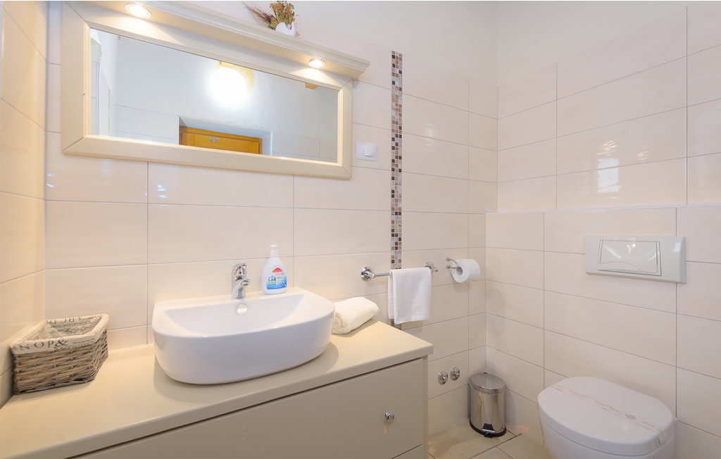 Ferienhaus - Svetvincenat-Bokordici , Kroatien - CIL100 50