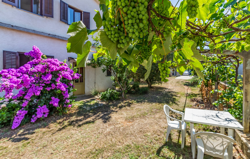 Lejlighed - Medulin , Kroatien - CIM133 9