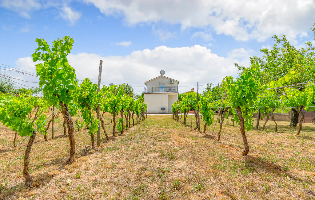 Feriehuse - Labin-Sumber , Kroatien - CIO380 15