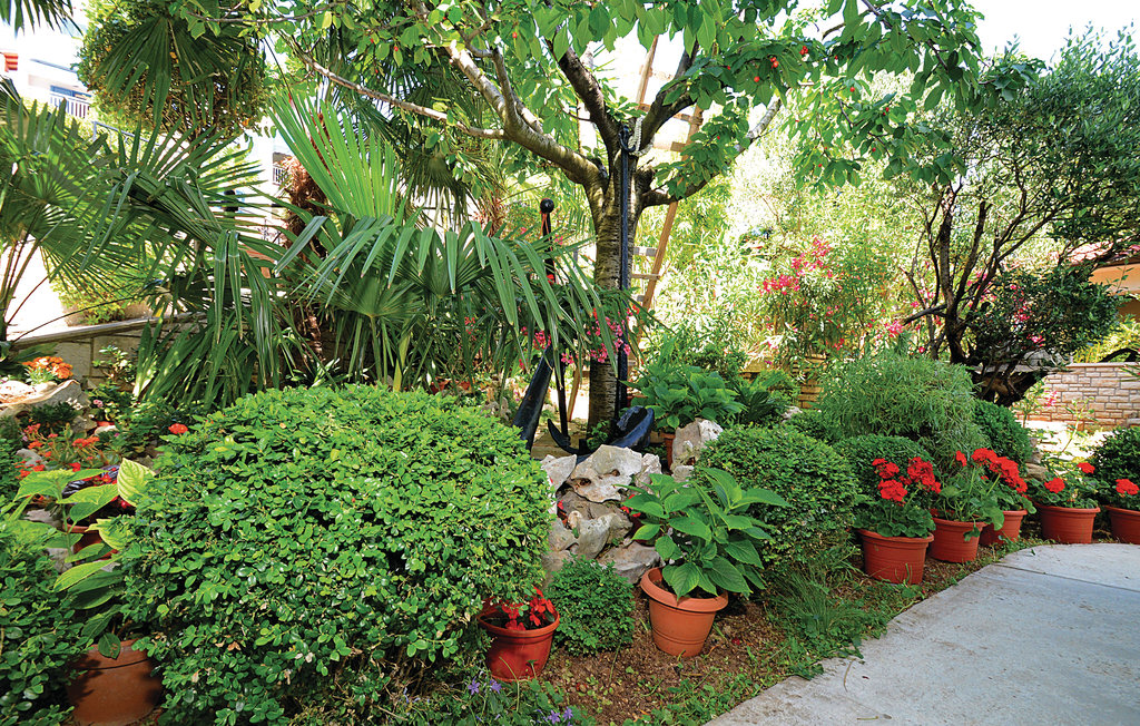 Ferienwohnung - Rabac , Kroatien - CIO116 6