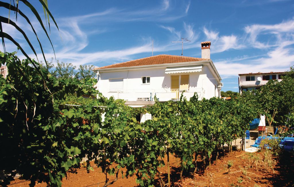 Ferieleilighet - Pula , Kroatia - CIP115 7