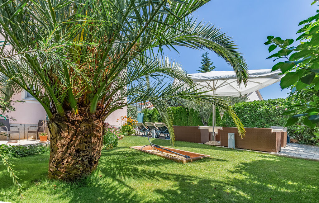 Semesterhus - Pula-Stinjan , Kroatien - CIP273 19