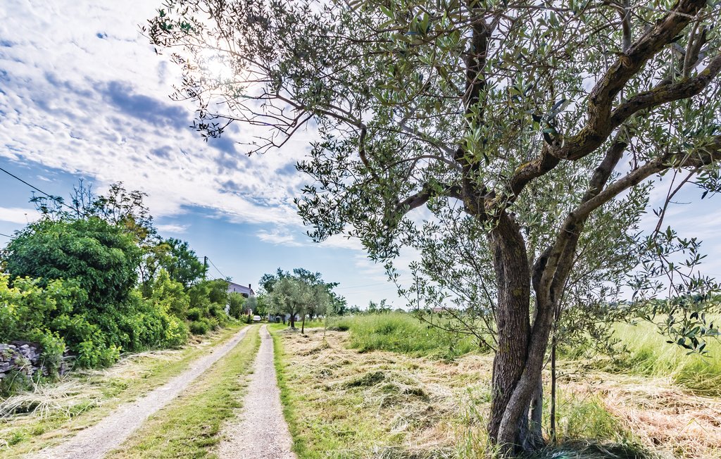 Lejlighed - Pula , Kroatien - CIR258 24