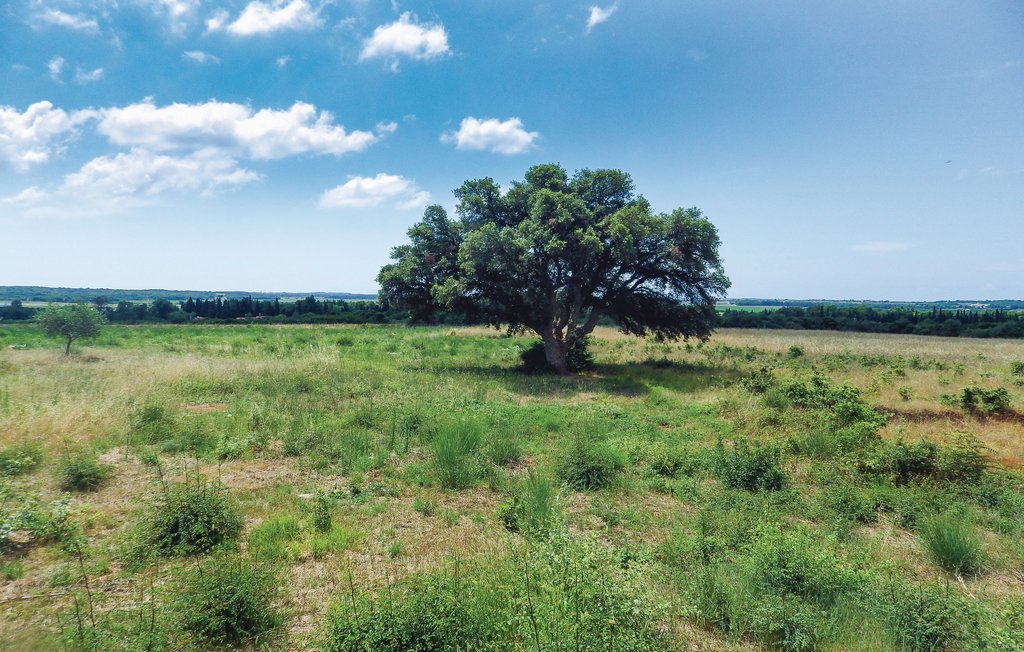 Semesterhus - Pula-Valtursko polje , Kroatien - CIR329 33
