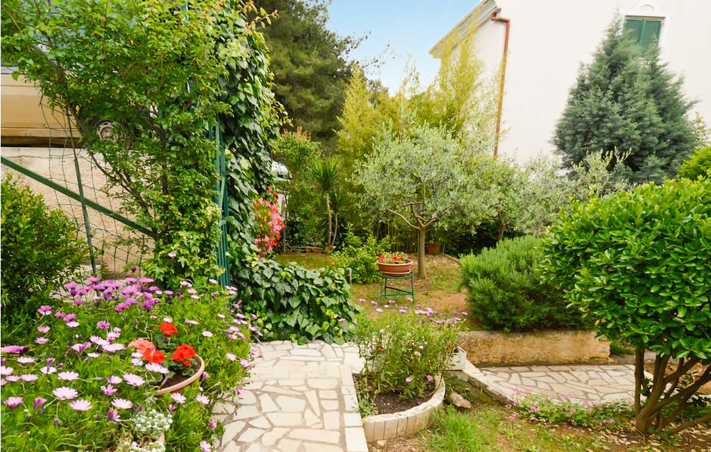 Ferieleilighet - Pula , Kroatia - CIR413 3