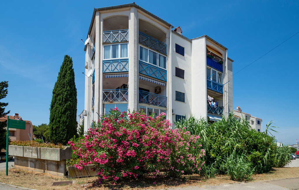 Ferieleilighet - Pula , Kroatia - CIR568 10