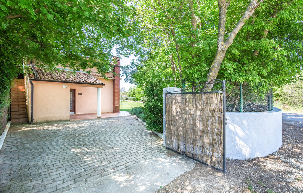 Bild 12
