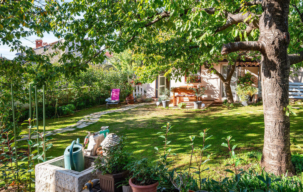 Kuća-za-odmor - Vodnjan , Hrvatska - CIS226 12