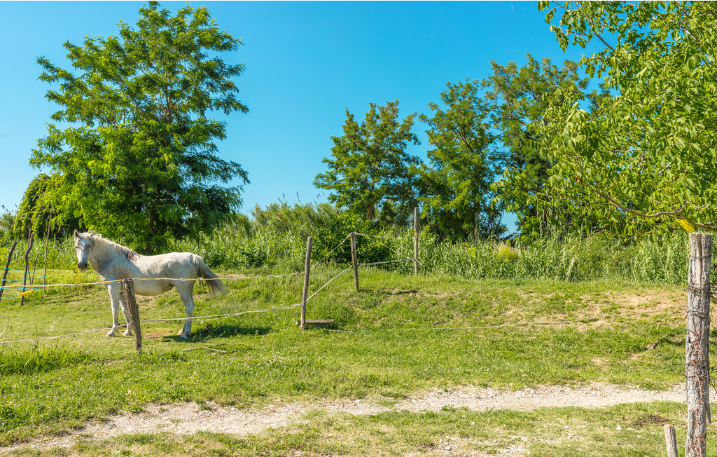 Ferienhaus - Umag-Plovanija , Kroatien - CIU531 43