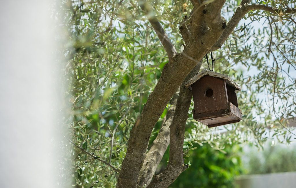Ferienwohnung - Umag-Kastel , Kroatien - CIU295 22