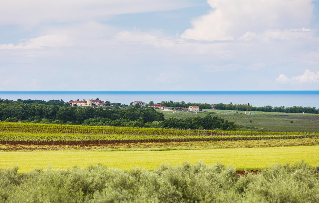 Feriehuse - Novigrad-Buzinija , Kroatien - CIU861 16