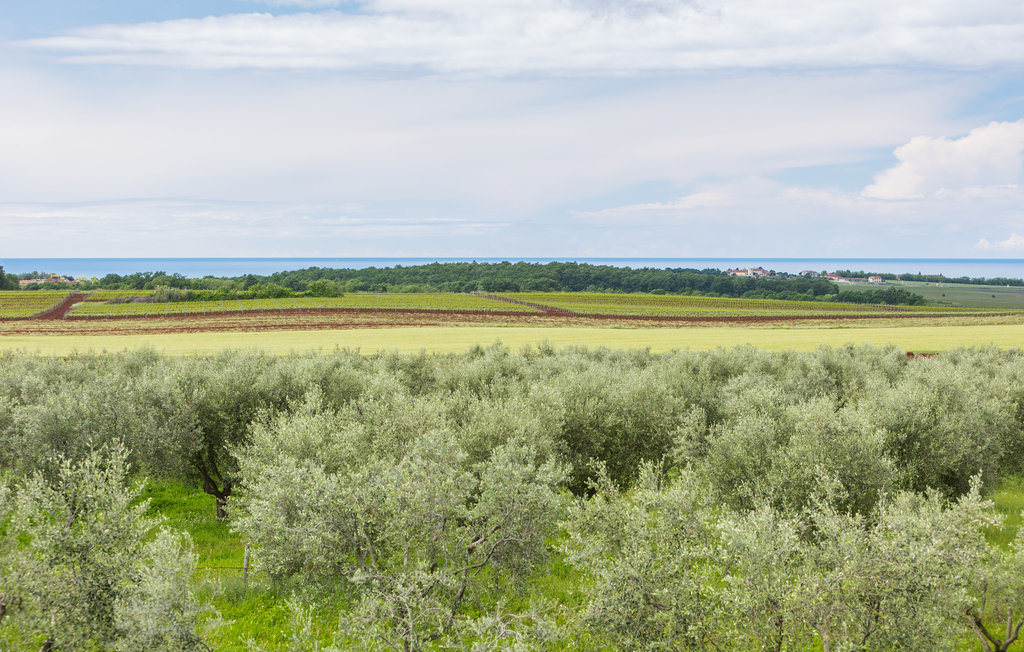 Feriehuse - Novigrad-Buzinija , Kroatien - CIU861 17