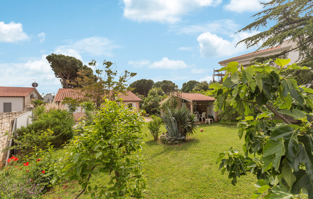 Feriehus - Umag-Sveti Ivan , Kroatia - CIU864 13