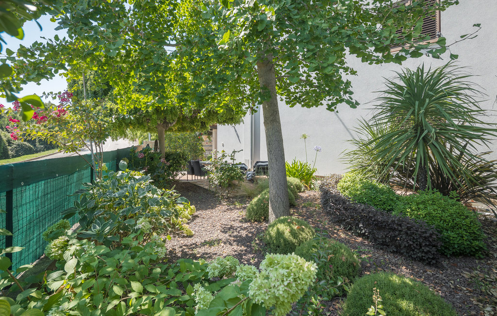 Lejlighed - Rovinj , Kroatien - CIV514 11