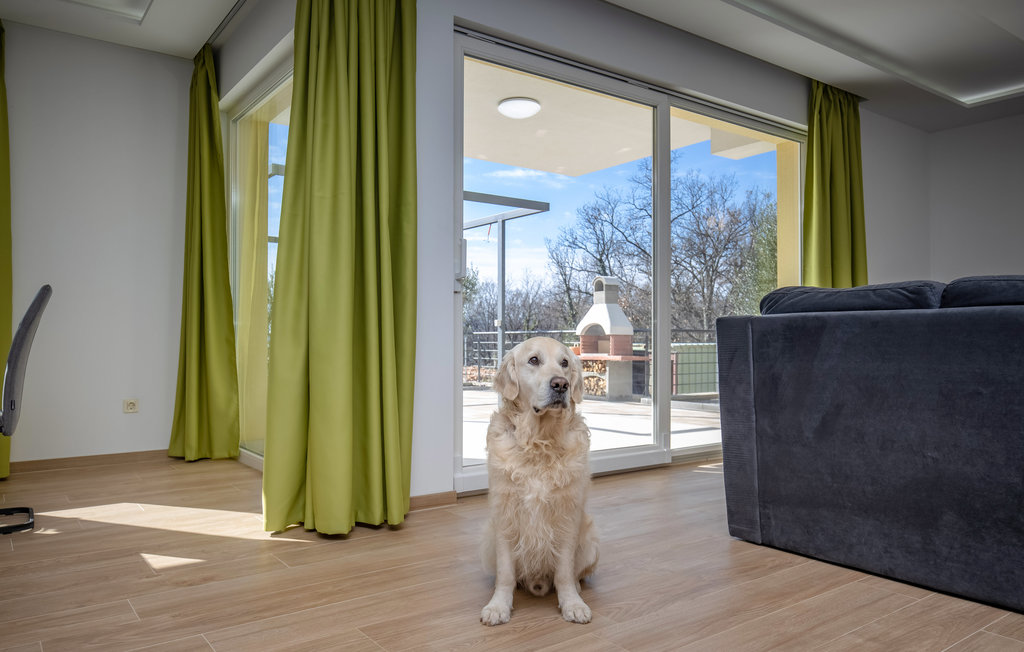 Ferieleilighet - Crikvenica-Kostrena , Kroatia - CKA286 22