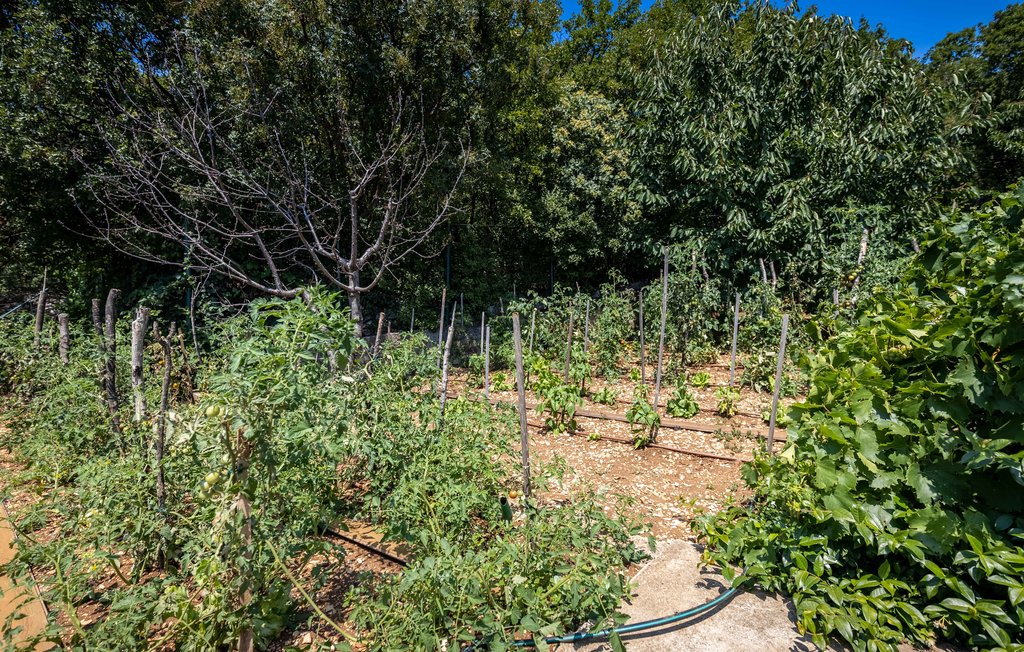 Semesterhus - Crikvenica , Kroatien - CKA164 21