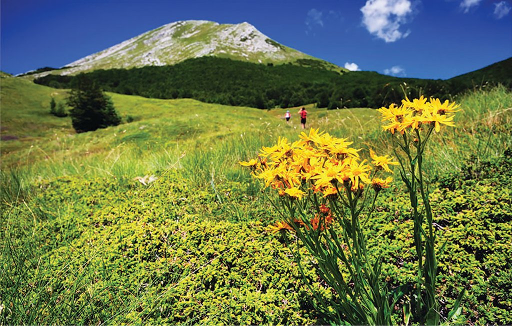 Feriehuse - Lika-Perusic , Kroatien - CKB294 40