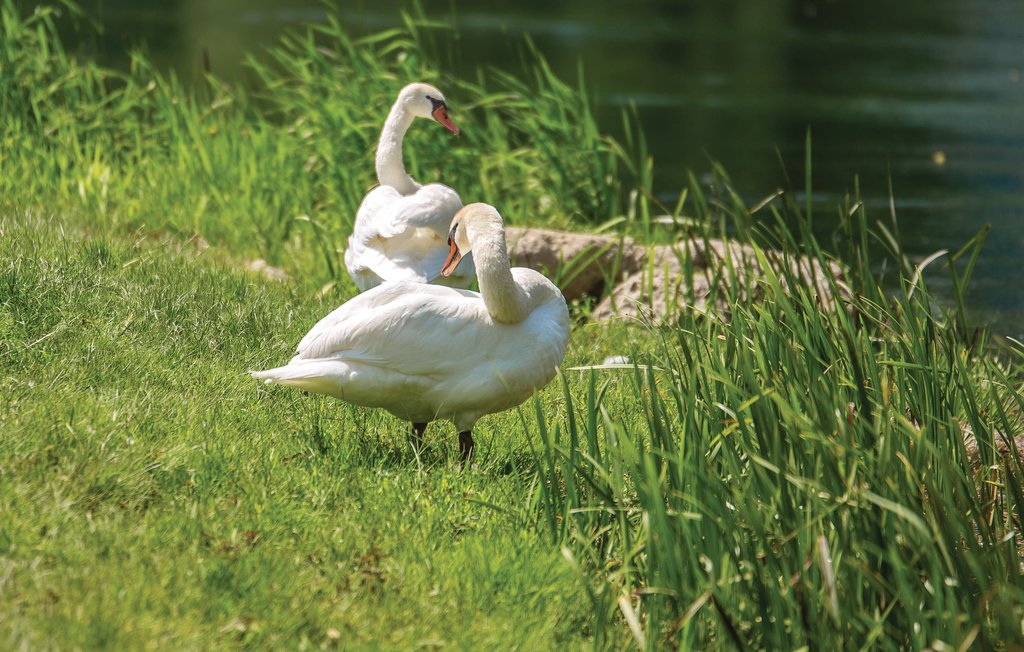 Feriehuse - Lika-Licko Lesce , Kroatien - CKB142 30