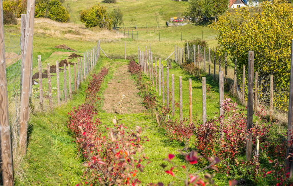 Ferieleilighet - Gorski Kotar-Prezid , Kroatia - CKB202 14