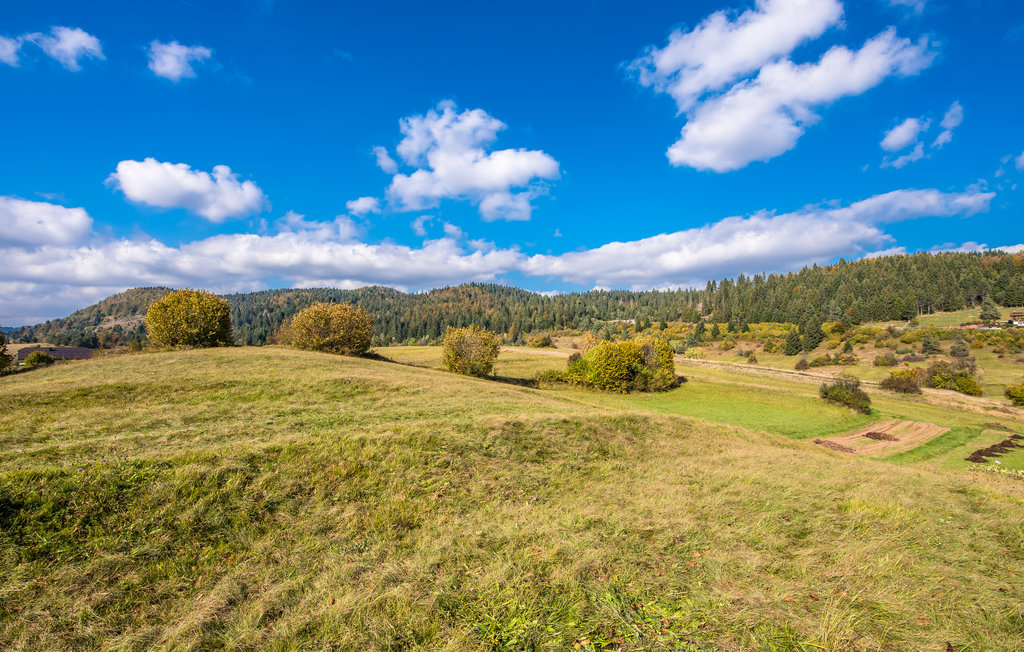 Ferieleilighet - Gorski Kotar-Prezid , Kroatia - CKB202 5