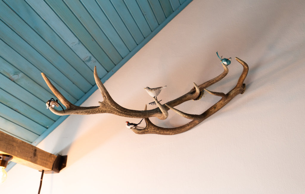 Feriehuse - Gorski kotar - Stari Laz , Kroatien - CKB300 23