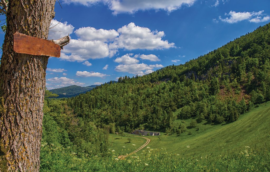 Feriehus - Gorski Kotar-Mrkopalj , Kroatia - CKB325 22