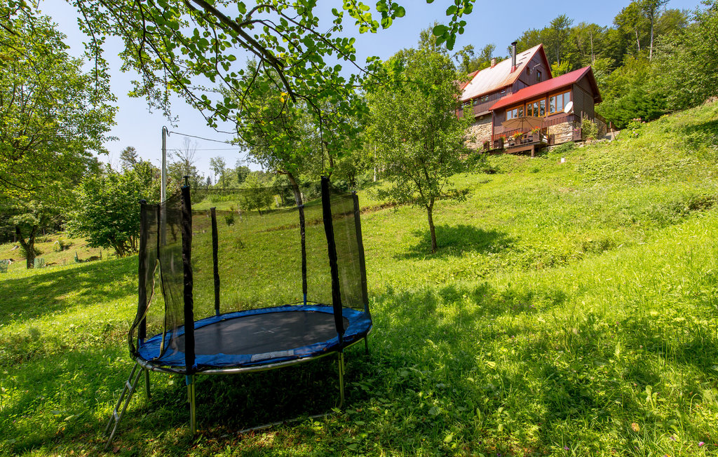 Bild 8 Bild 8