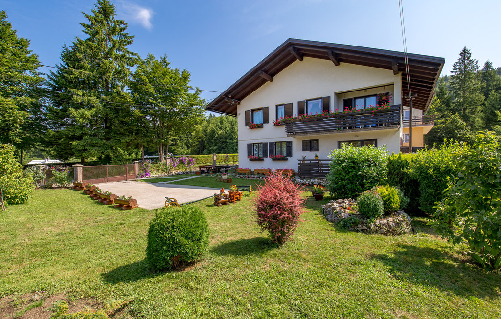 Bild 11 Bild 11