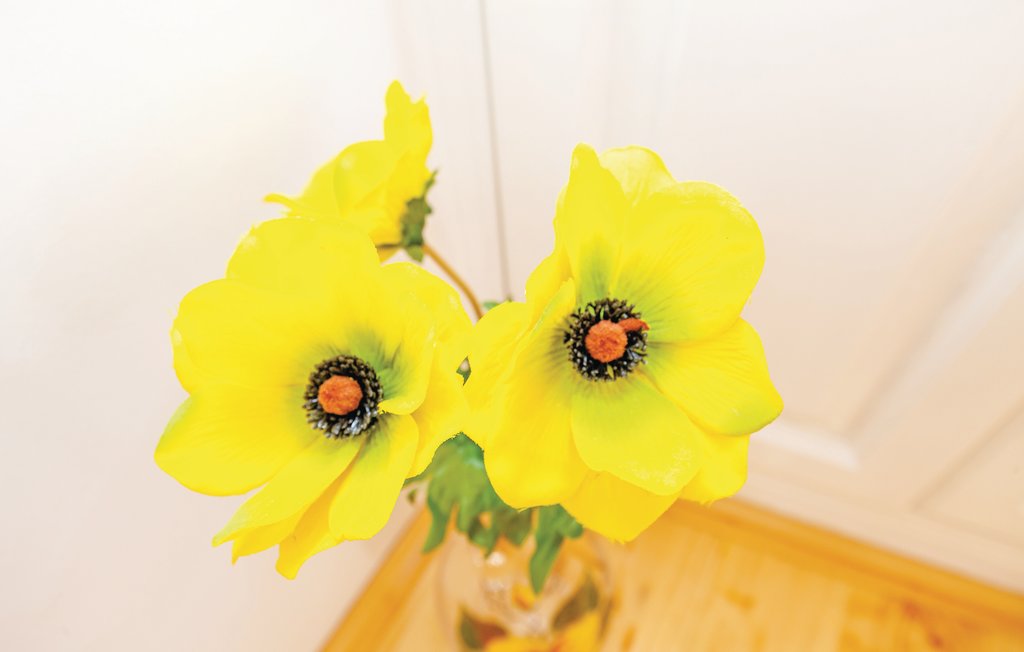 Ferienhaus - Crikvenica-Grizane , Kroatien - CKC722 36