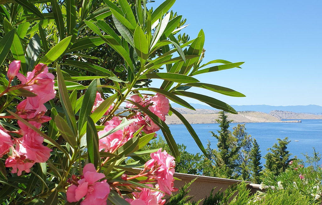 Ferienwohnung - Crikvenica-Jadranovo , Kroatien - CKC074 14